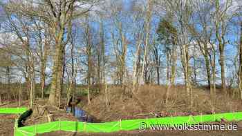 A-14-Bau: Was haben Napoleon und Goebbels mit dem Knochenfund von Geestgottberg zu tun? - Volksstimme