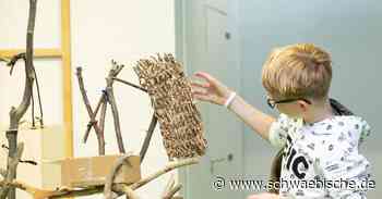 Kinder erkunden den Baumhaus-Bau | schwäbische - Schwäbische