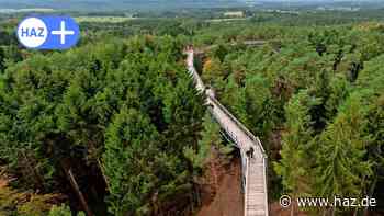 Tipps für Radtouren in und um Hannover: Von Bispingen in die Heide - HAZ