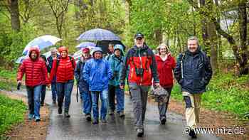 Hamminkelner Grüne wanderten durch die Dingdener Heide - NRZ News
