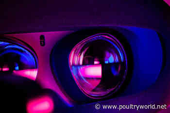 How virtual reality can be used in poultry processing - Poultry World