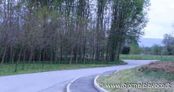 FIORANO CANEVASE. Truffatore in agguato nelle strade di campagna, alla guida di un'Audi - Giornale La Voce