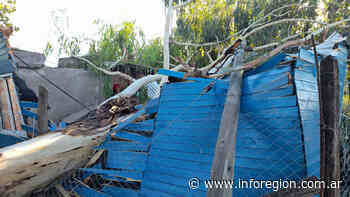 Temporal en Lomas de Zamora: Una familia se salvó de milagro - InfoRegión