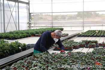 La Diputación de Zamora aprueba varias ayudas sociales y de apoyo a los Grupos de Acción Local - Zamora News