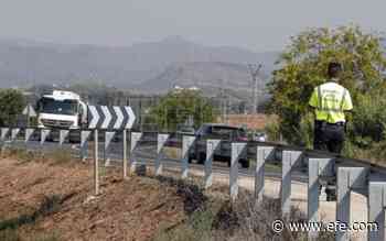 Fallece atropellado en la Autovía de la Plata en Benavente (Zamora) - Agencia EFE