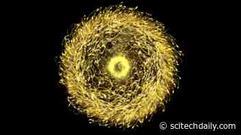 Researchers Create Strange Magnetic Particles With Laser Light – May Revolutionize Quantum Computers
