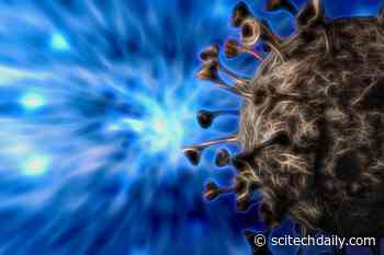 Researchers Assess the Power of T-Cell Immune Response to COVID-19 BA.1 and BA.2 Omicron Variants