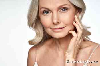 How To Rejuvenate the Immune System of Elderly People and Reduce Their Risk of Infectious Disease