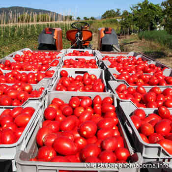 Casalasco società agricola acquisisce il 73,8 per cento di Emiliana conserve - DM - Distribuzione Moderna