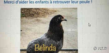 Nice: la poule de l'école René Cassin a disparu ! - RCF