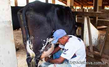 Vem aí 49ª Exposição Agropecuária e Concurso Leiteiro de Itaperuna - Folha de Italva