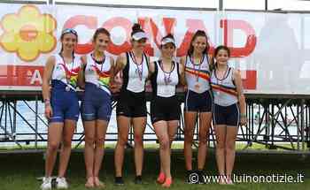 Da Varese ad Angera, tante medaglie e soddisfazioni per la Canottieri Germignaga - Luino Notizie