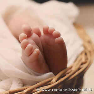 Comunicato stampa - Il Comune di Lissone, Energie Sociali Jesurum e LloydsFarmacia insieme per la sesta edizione di "Benvenuti nella Casa delle Coccole" - Comune di Lissone