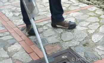 A Lissone avviato il piano di disinfestazione per l'anno 2022 - Prima Monza