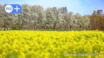 Wetter in Peine: Das sind die Aussichten auf Regen - Peiner Allgemeine Zeitung - PAZ-online.de