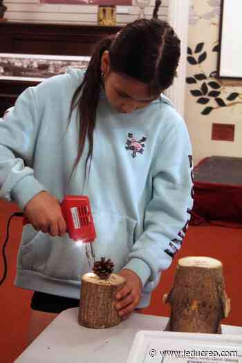 Saving the Earth one bug at a time - Leduc Representative