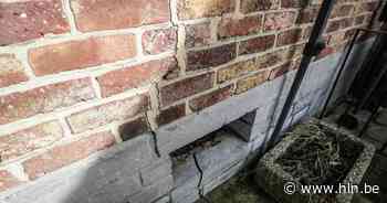 Deskundige moet oorzaken van gebarsten huizen in Rukkelingen-Heers achterhalen - Het Laatste Nieuws