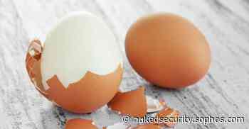 Ransomware Survey 2022 – like the Curate’s Egg, “good in parts”