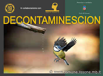 "Decontaminescion" - Mostra Fotografica - Comune di Lissone
