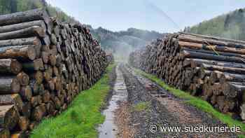 Tegernau: Nassholzlager in Tegernau ist wieder in Betrieb, aber Forst BW muss bis Juni erheblich nachbessern - SÜDKURIER Online
