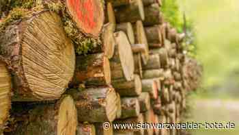 Forst erzielt Gewinn - Erlös von mehr als 20 000 Euro aus dem Schonacher Wald - Schwarzwälder Bote
