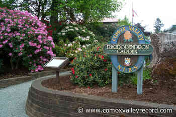 May is Rhododendron Month in Courtenay - Comox Valley Record