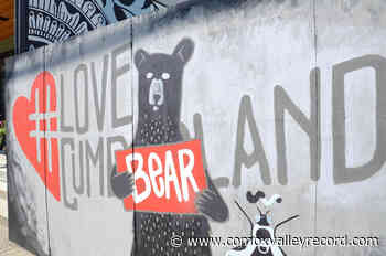 Cumberland planning for 125th anniversary in 2023 – Comox Valley Record - Comox Valley Record