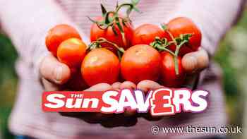 Five ways to cut your food shopping bill as the cost of living rockets... - The Sun