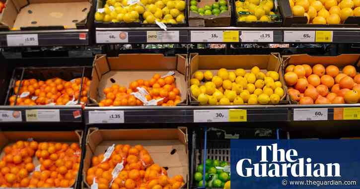 Slashing food tariffs will not fix UK’s cost of living crisis, warns farmers’ union - The Guardian
