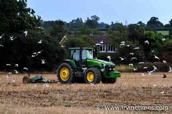 War in Ukraine has intensified food supply chain problems, MSPs told - Irvine Times