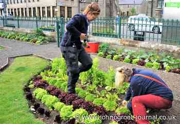 ARIANE BURGESS: Local food is at heart of all things good - JohnOGroat Journal
