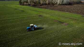 Impact of Ukraine war on global food security 'will be dramatic' - Sky News
