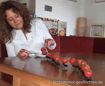 Warum Wildschweine sich im Ameisenhaufen wälzen • Attendorner Geschichten - Attendorn News - Attendorner Geschichten