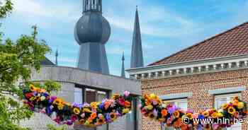Nieuwe bloemenslingers kleuren de stad | Aarschot | hln.be - Het Laatste Nieuws