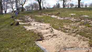 Visitors distraught by messy condition of Mount Hamilton Cemetery - CHCH News