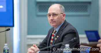 Cattle markets take center stage in ag committees