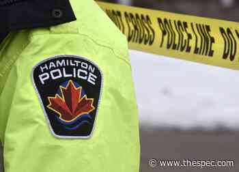 Two men arrested after commercial robbery on Hamilton Mountain - Hamilton Spectator