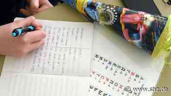 Krieg in der Ukraine: So werden Flüchtlingskinder in Tornesch in Schulunterricht integriert | shz.de - shz.de