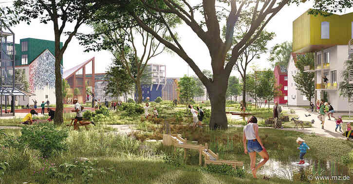 IBA-Chef warnt:  Wird PHV zur Blamage für Heidelberg?