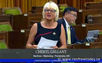 MP Gallant believes government ignoring available diagnostics - renfrewtoday.ca