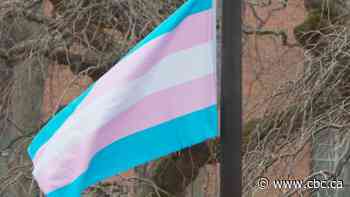 Fredericton among top Canadian cities for 'gender diversity,' according to census data - CBC.ca