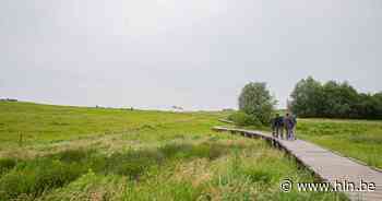 Twee crossmotoren in beslag genomen in wandelgebied Hooghof | Asse | hln.be - Het Laatste Nieuws