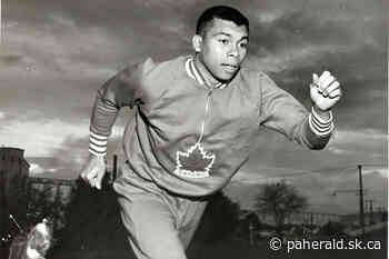 Prince Albert-born sprinter among five inductees headed to Saskatchewan Sports Hall of Fame - Prince Albert Daily Herald