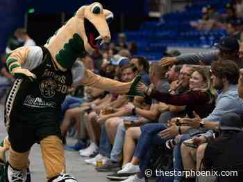 Saskatchewan Rattlers sign third player with NBA G League experience for 2022 CEBL season - Saskatoon Star-Phoenix