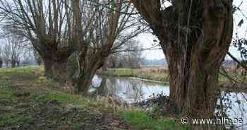 Natuurpunt organiseert vroege fietstocht met ontbijt door Kiekebossen - Het Laatste Nieuws