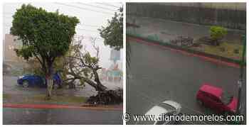 Fuertes lluvias y encharcamientos en varios puntos de Cuernavaca - Diario de Morelos