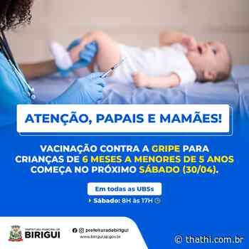 Birigui fará no sábado um Dia D de vacinação contra a gripe e o sarampo - Portal Thathi