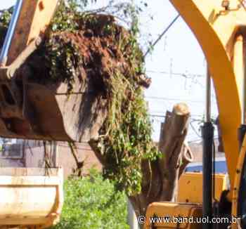 Birigui: começam as obras de canalização do córrego Matadouro - Band Jornalismo