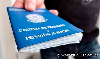 Birigui inicia ano com saldo positivo de 570 empregos formais, melhor resultado da região - Prefeitura de Birigui (.gov)