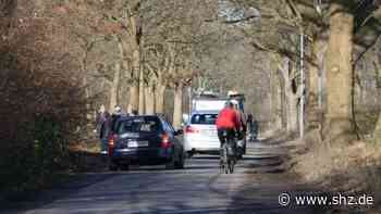 Verkehr in Schenefeld: Kreis lehnt Tempo 30 im Holtkamp ab | shz.de - shz.de